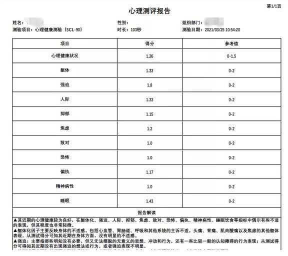 心理测评报告模版